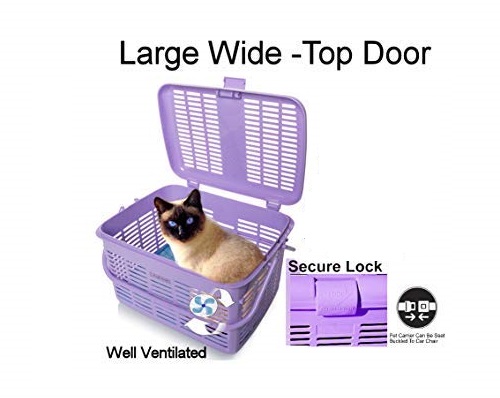 Cat basket price shop